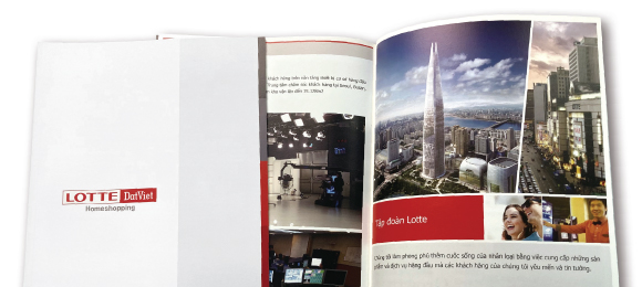 [Catalogs] - Offset
